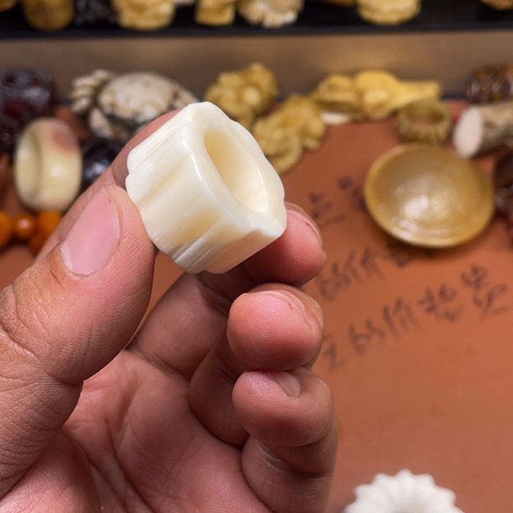 驼骨其他人工养殖