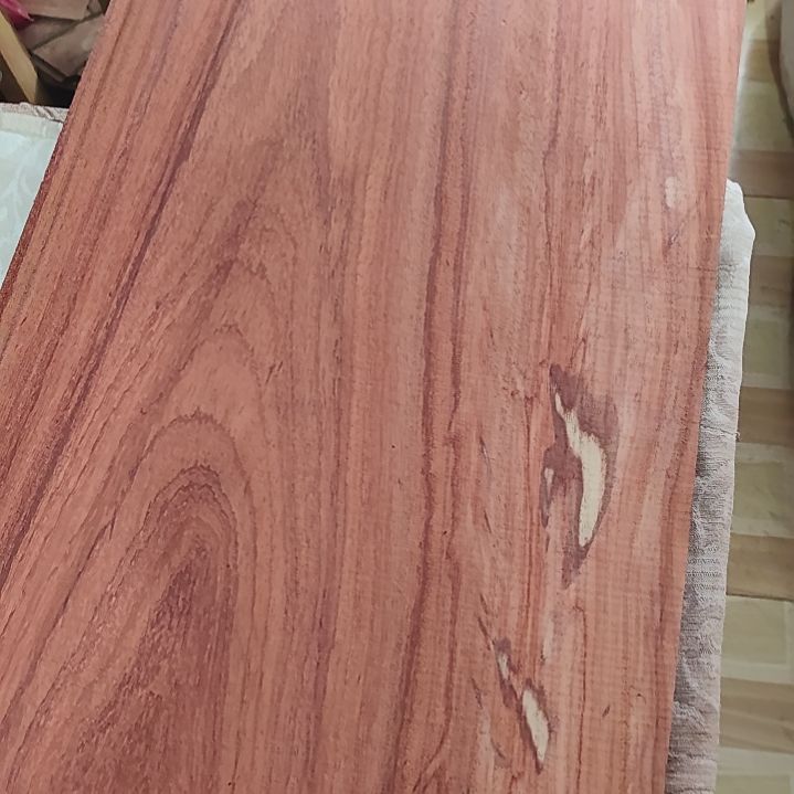 养****u邵氏紫檀红花梨木大板