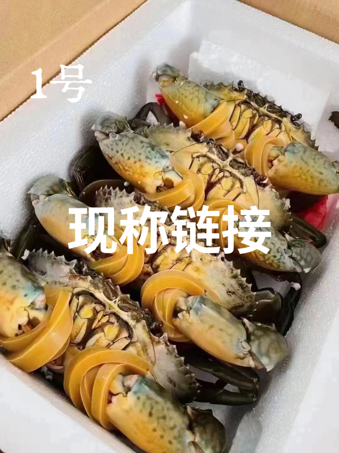 现称1号链接东山岛青蟹  母蟹 红膏蟹  勿放冰箱 需当面开箱