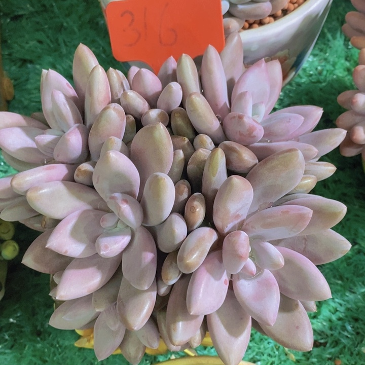 在家闲不住吗哈哈啊