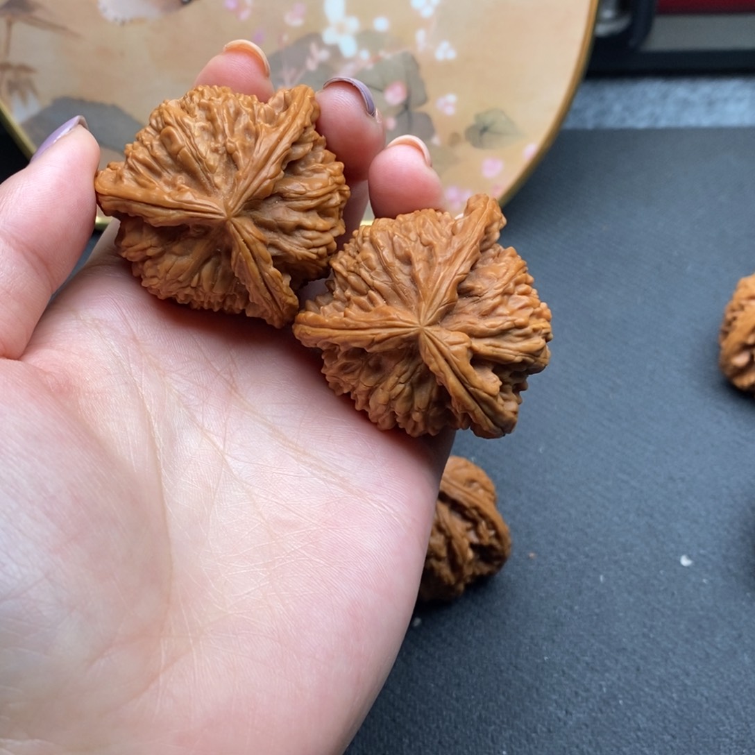 。****༒白狮子11111111111