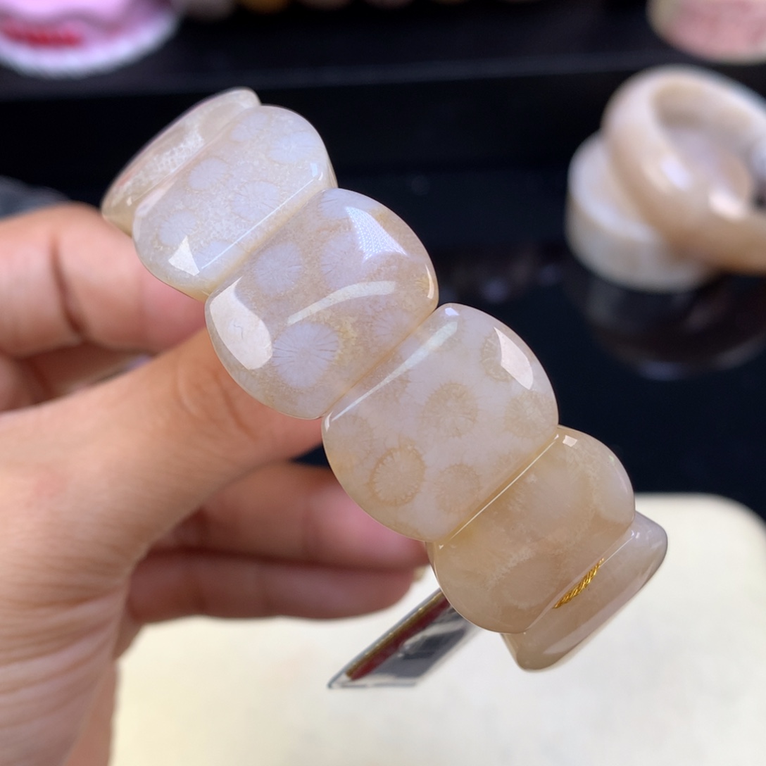 硅化珊瑚（珊瑚玉）未镶嵌吊坠(赠链)五折高冰果冻（8号）