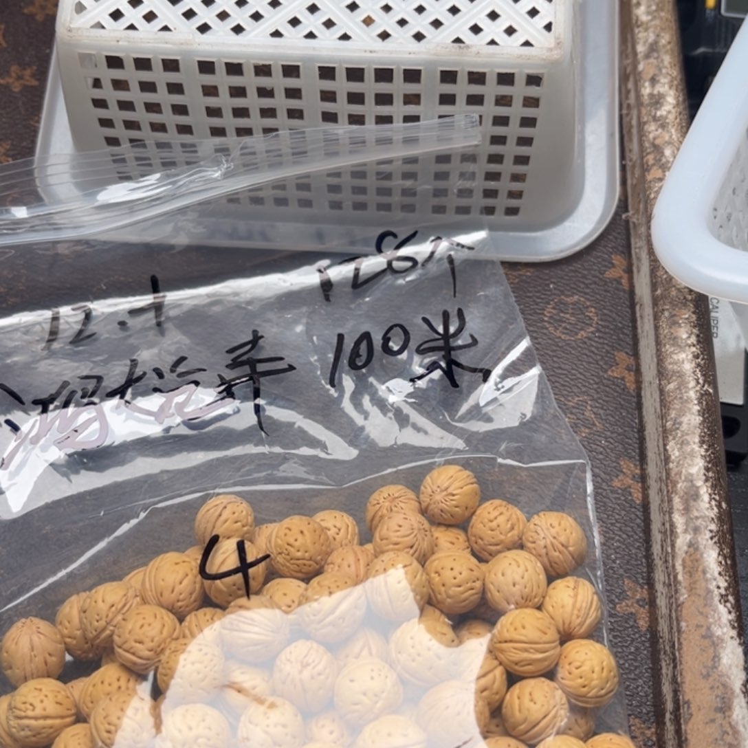 鸿***心野生小桃核散籽批发