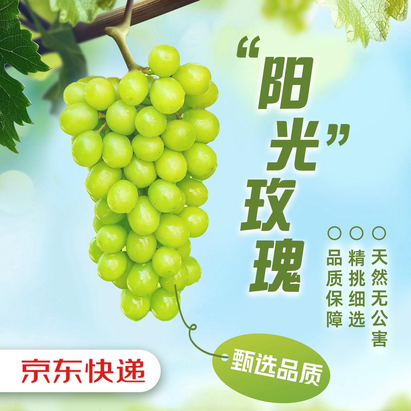 【京东生鲜】阳光玫瑰葡萄果王品质无籽应季现摘薄皮爽口整箱发货YP