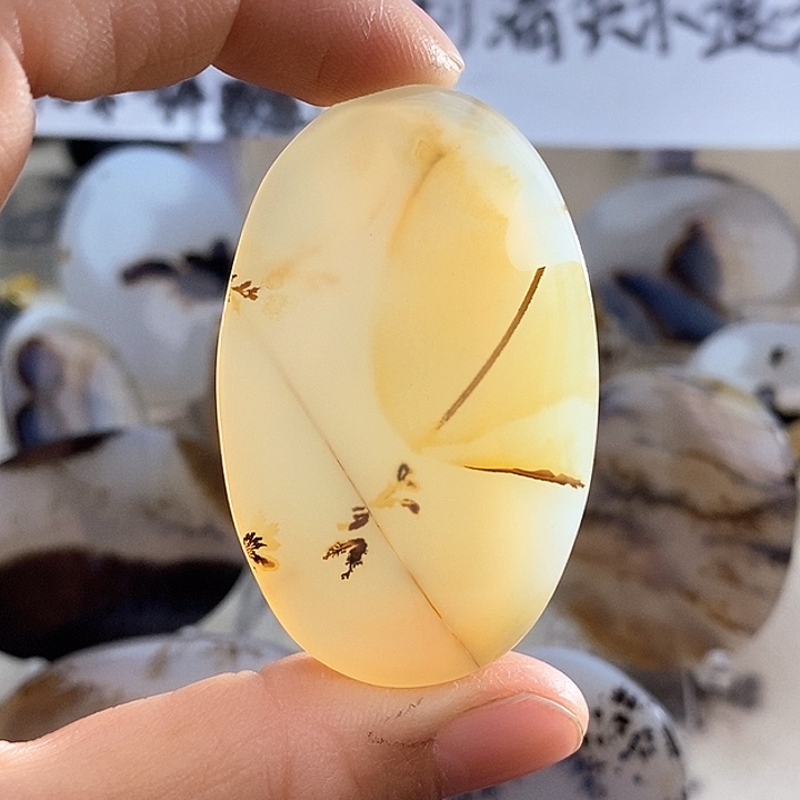 玛瑙/玉髓颈饰未镶嵌