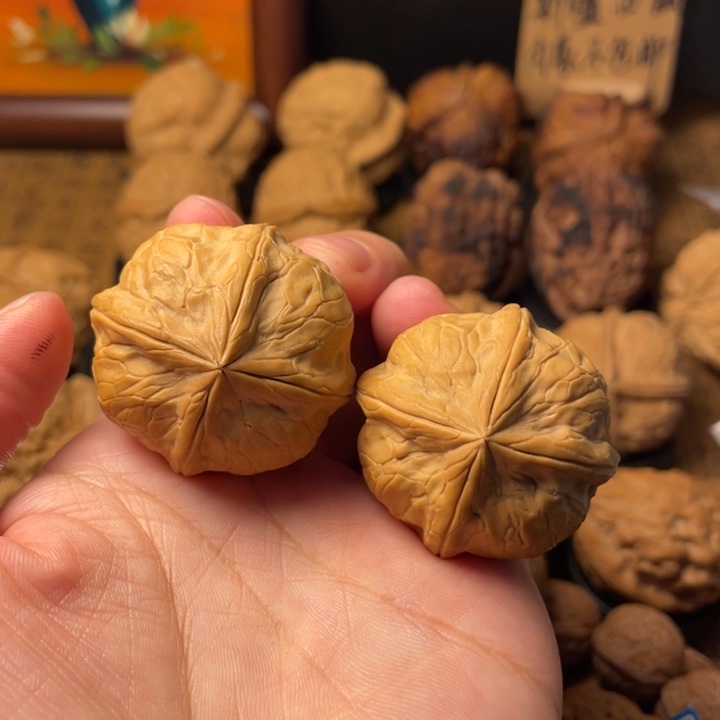 万***行云南野生铁核桃编号54