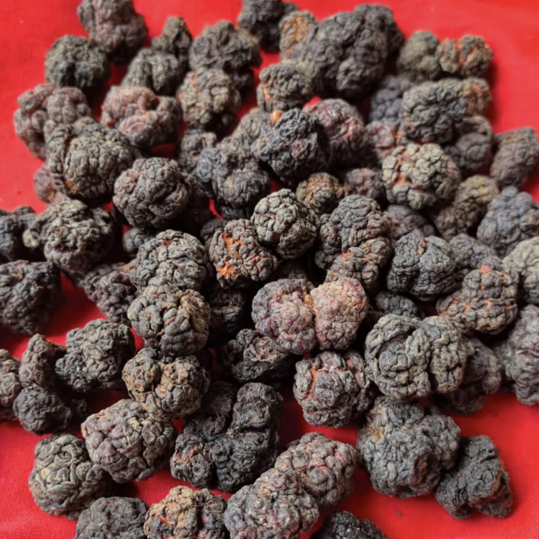 现收山货 野生帝王果土特产食用农产品 可搭配枸杞