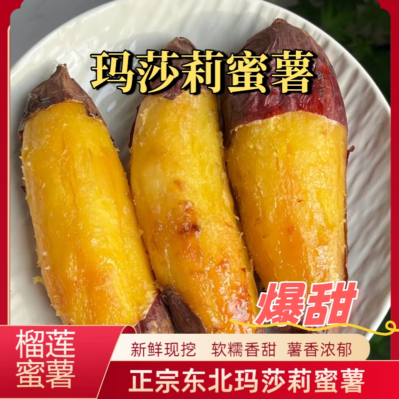 正宗东北玛莎莉蜜薯薯香浓郁甜而不腻（小果）新鲜红薯照片