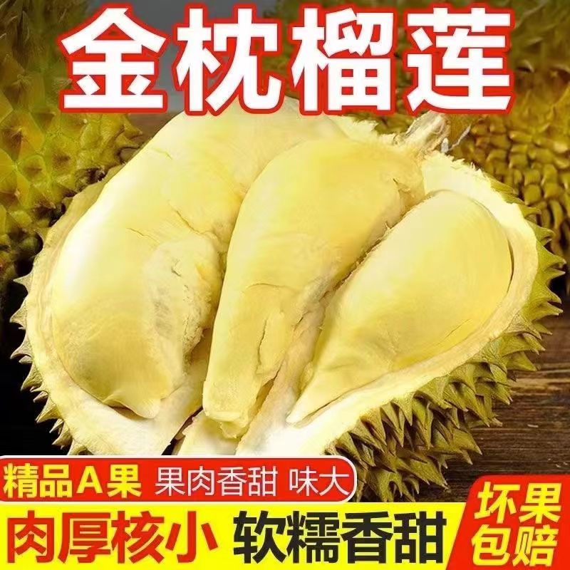 【一哥专属】A级泰国金枕榴莲 鲜果带壳发货 包4房（生切不售后）