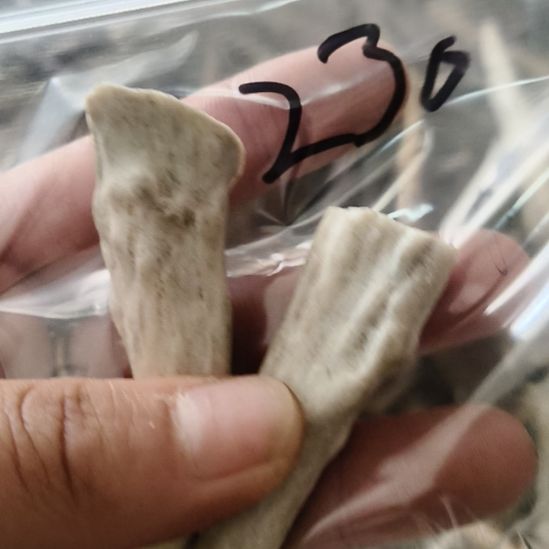 用***9鹿角鹿角鹿角鹿角鹿角鹿角