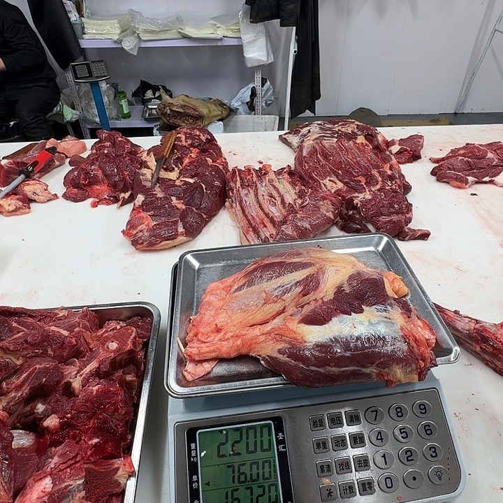 用***然12个月中国大陆腱子