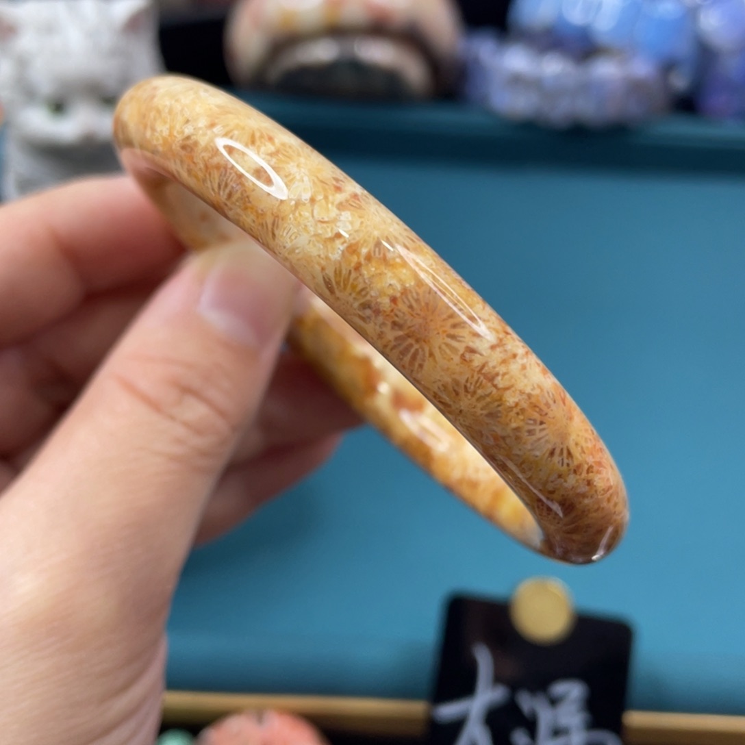 未镶嵌手镯硅化玉