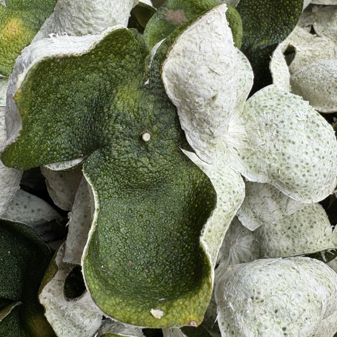 2025年梅江圈枝大青皮 16年老树醇香阳光生晒新会陈皮