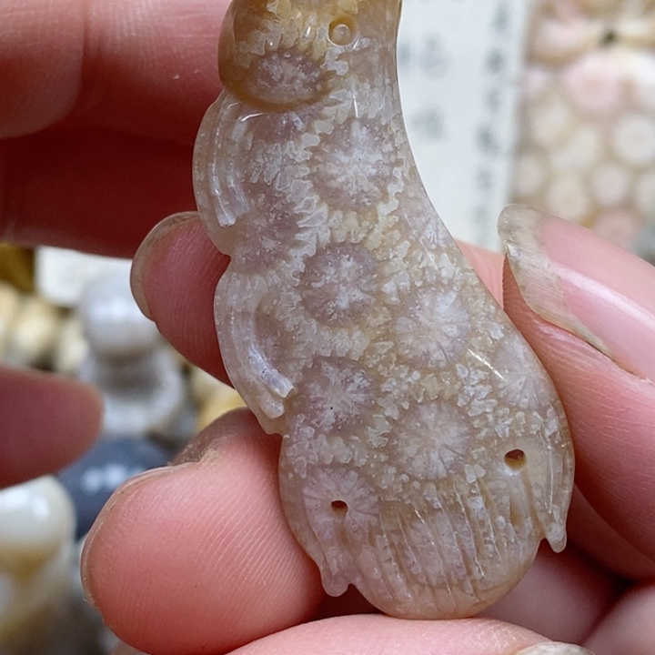 颈饰未镶嵌硅化珊瑚（珊瑚玉）