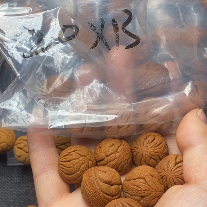 吊坠桃核秦岭山野生桃核