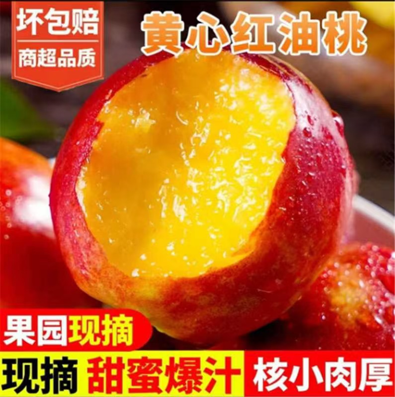 山东蒙阴红皮麻点黄肉油桃脆甜应季水果