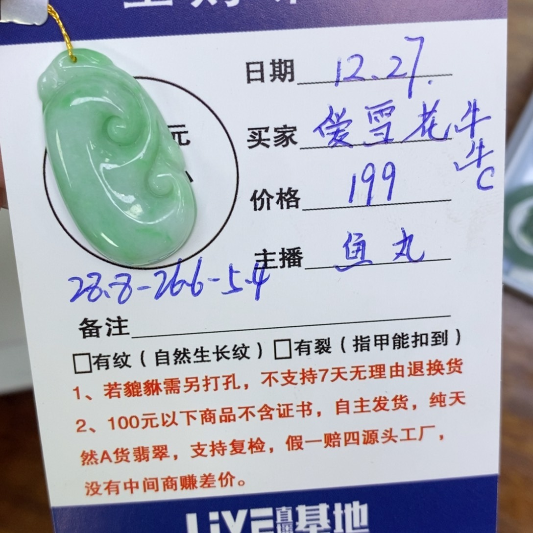 颈饰未镶嵌翡翠爱****C如意