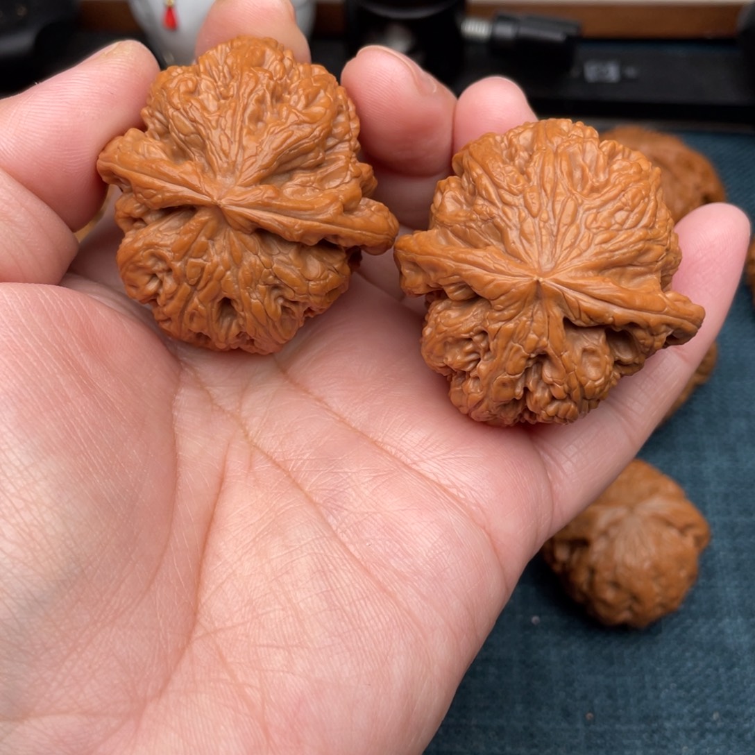 文玩核桃把件全品红皮大粗筋44