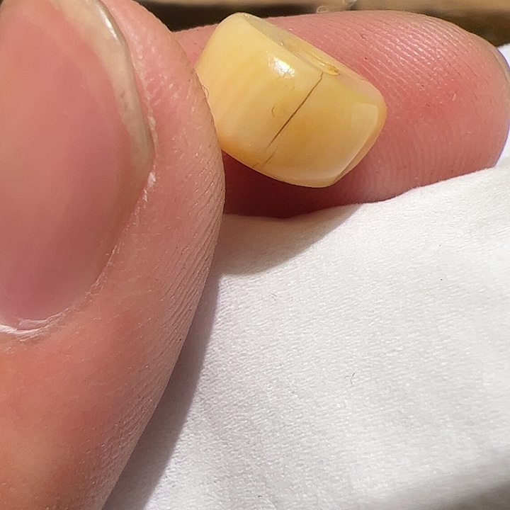 香榧木在这里的人