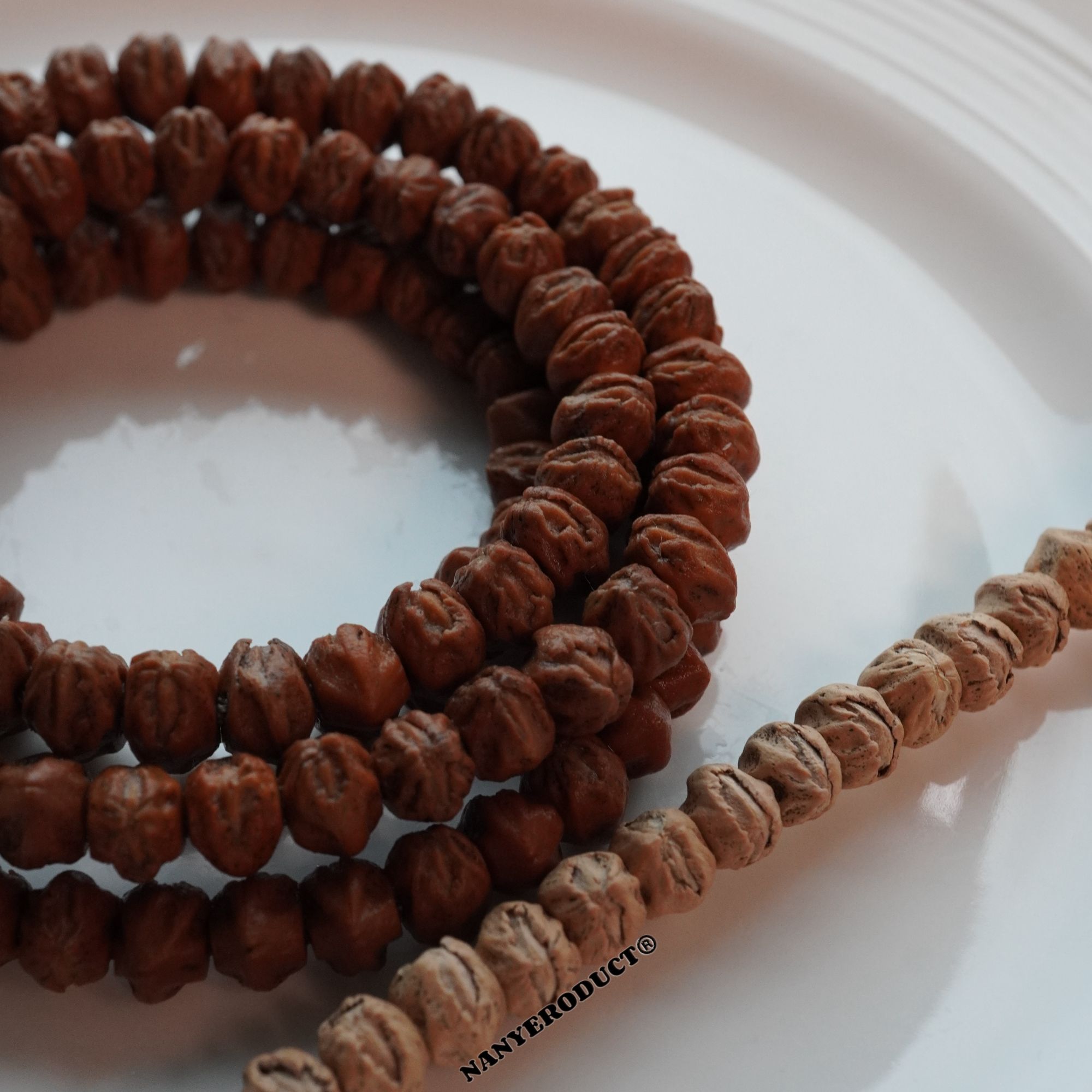 柏香南野 · PRODUCE 野系列 蝰蛇 /柏香籽