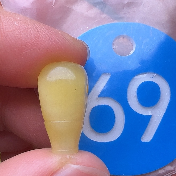 蜜蜡裸石未镶嵌花粉9.2m m