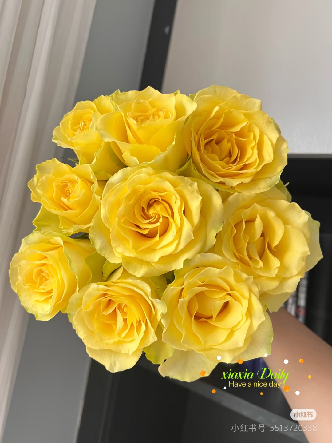 【香羿鲜花】浪漫沙滩10支/全场任意两单及以上包邮