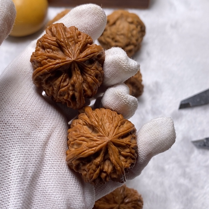 爱***调四棱得得得得得得得