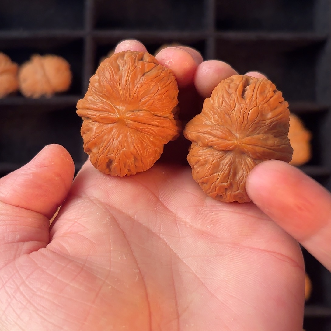 手串/手链核桃5555