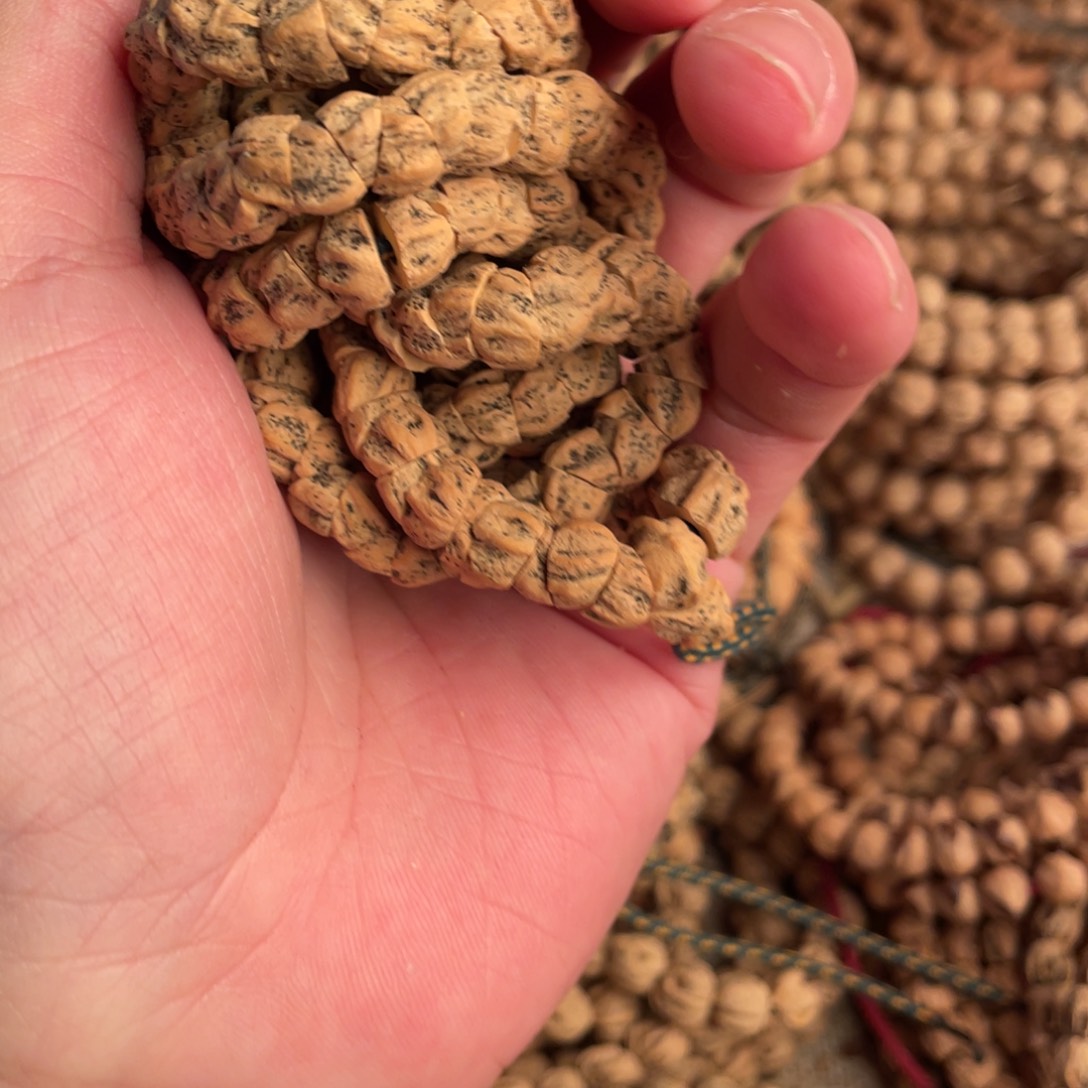 大***哈吊坠柏香籽/百香籽热振柏香籽专拍链接