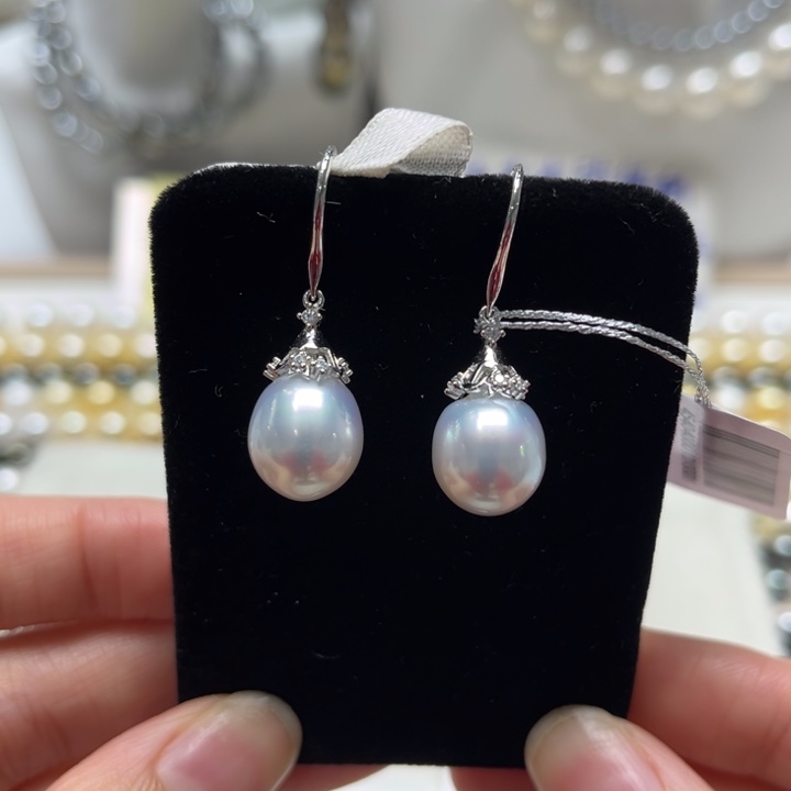 海水珍珠上新澳白盖帽耳钩10-12mm银S925镶嵌