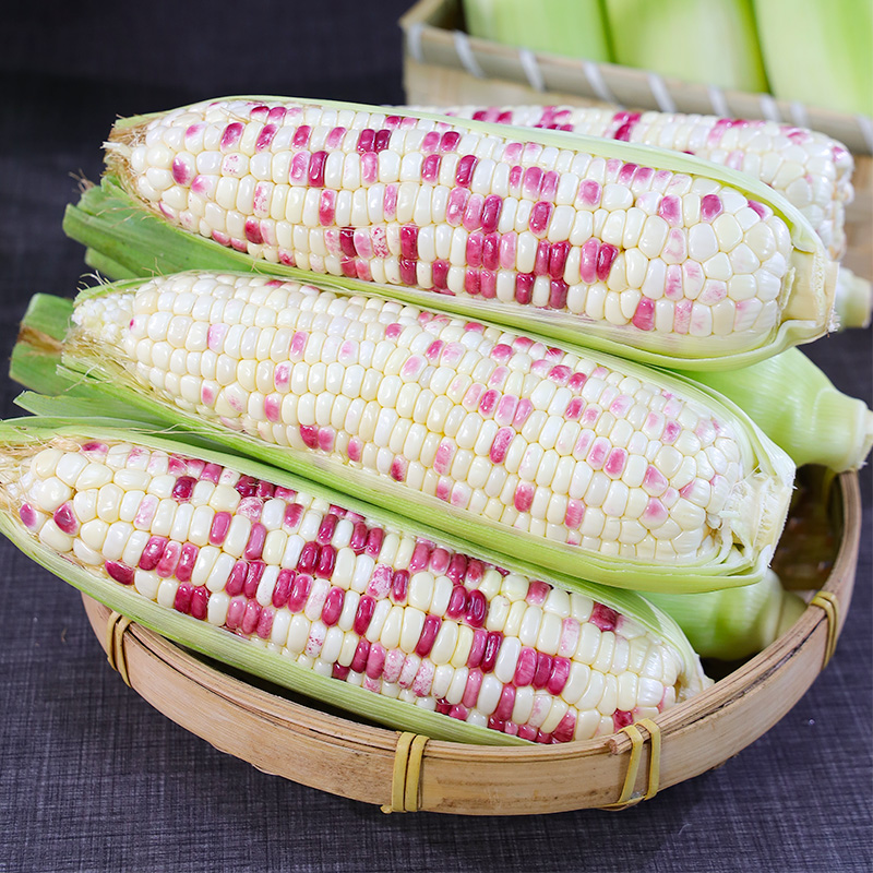 新鲜花糯玉米代餐玉米棒现摘甜糯玉米3斤5斤8斤9斤苞谷