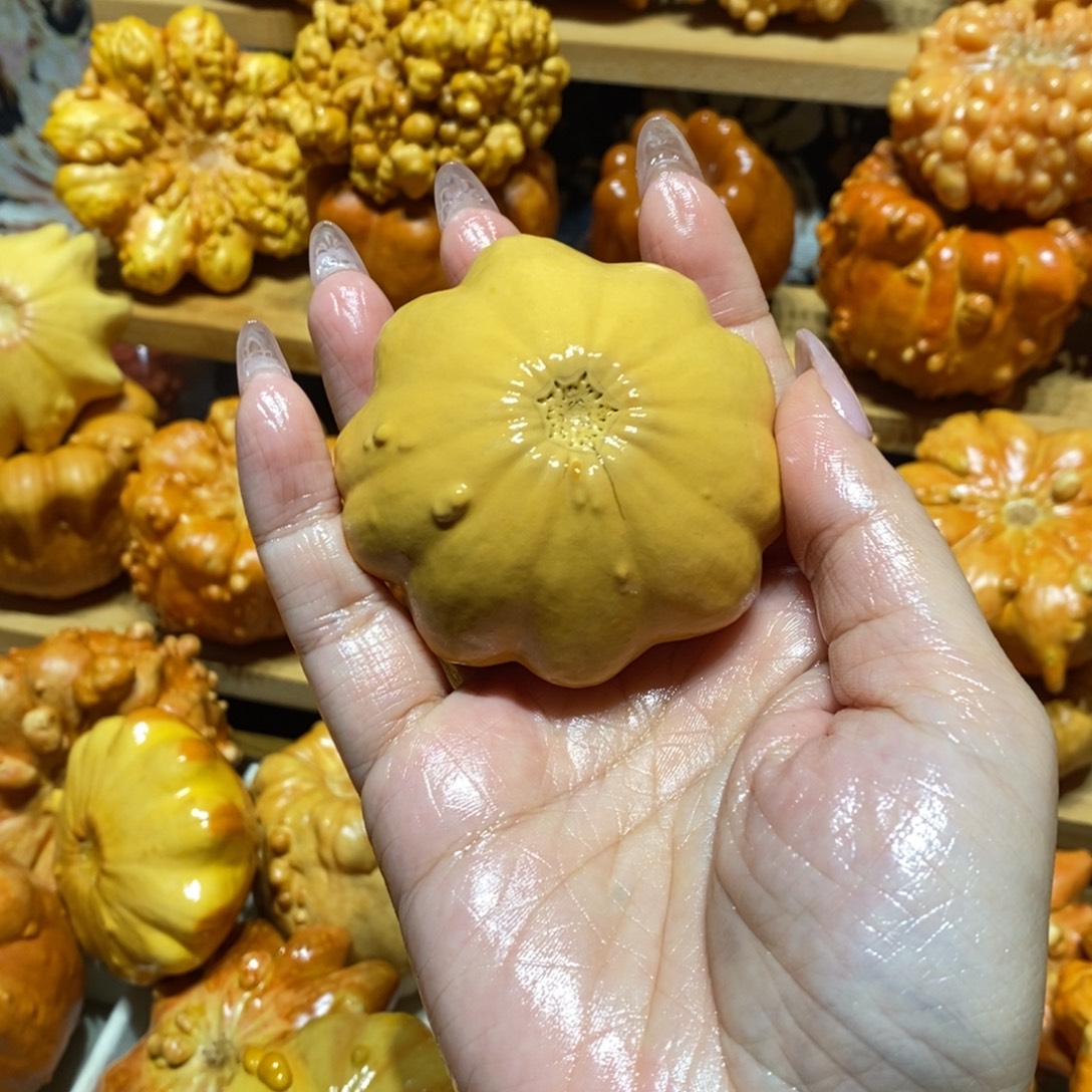 微微瑕花花不退不换