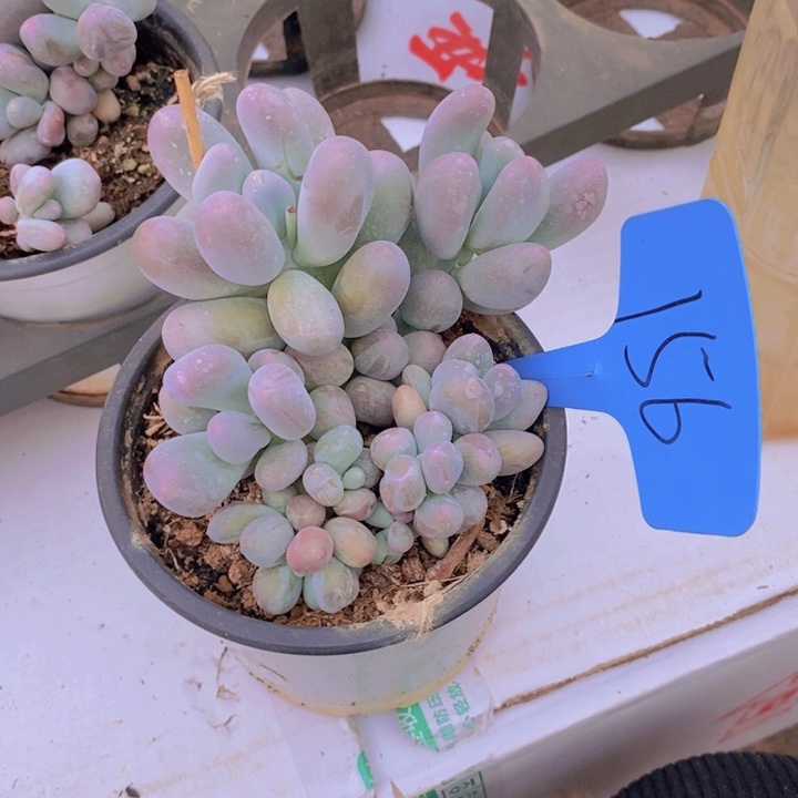 你自己好好休息下