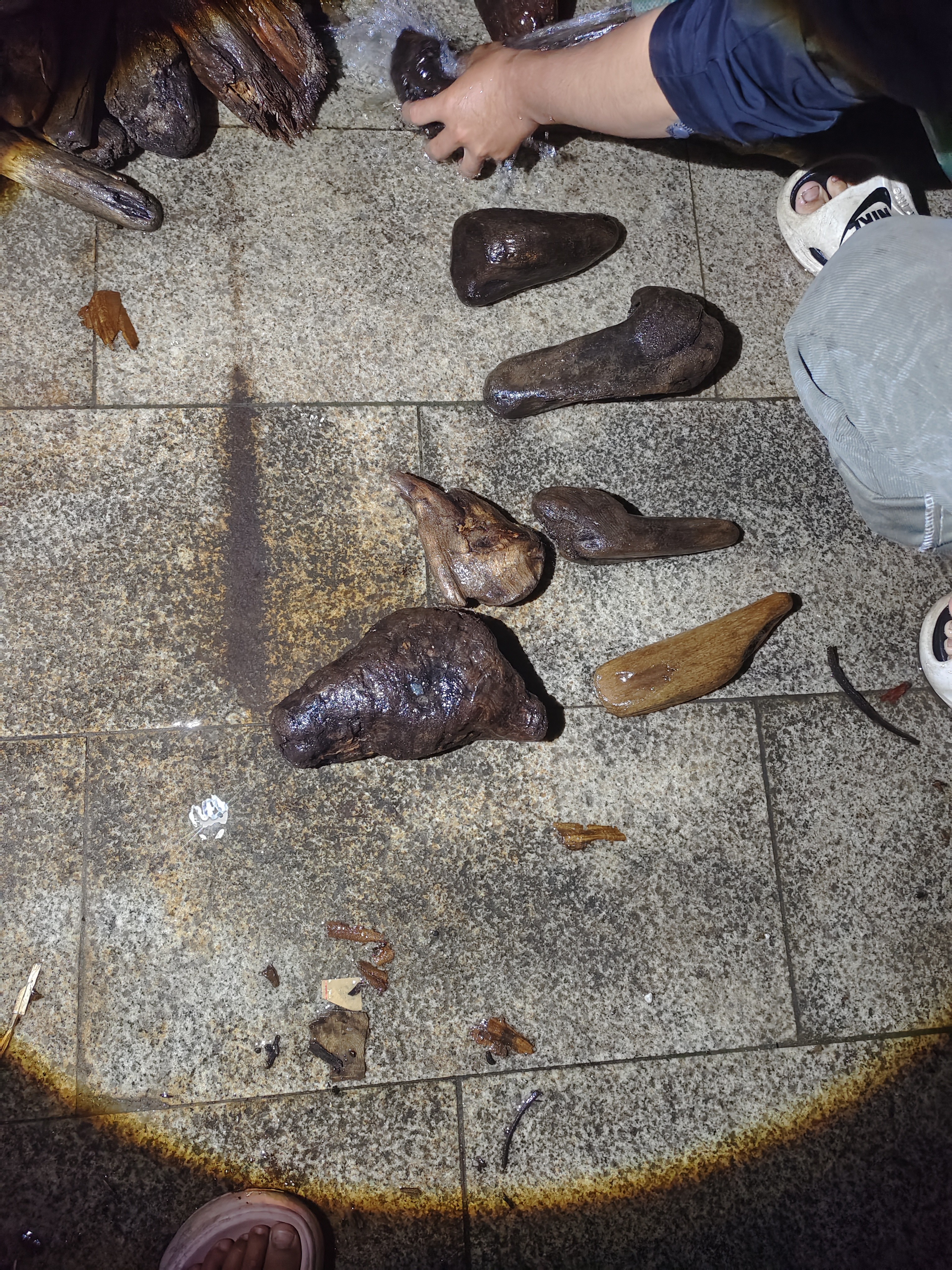 民间使用风化木漂流木22个不包邮