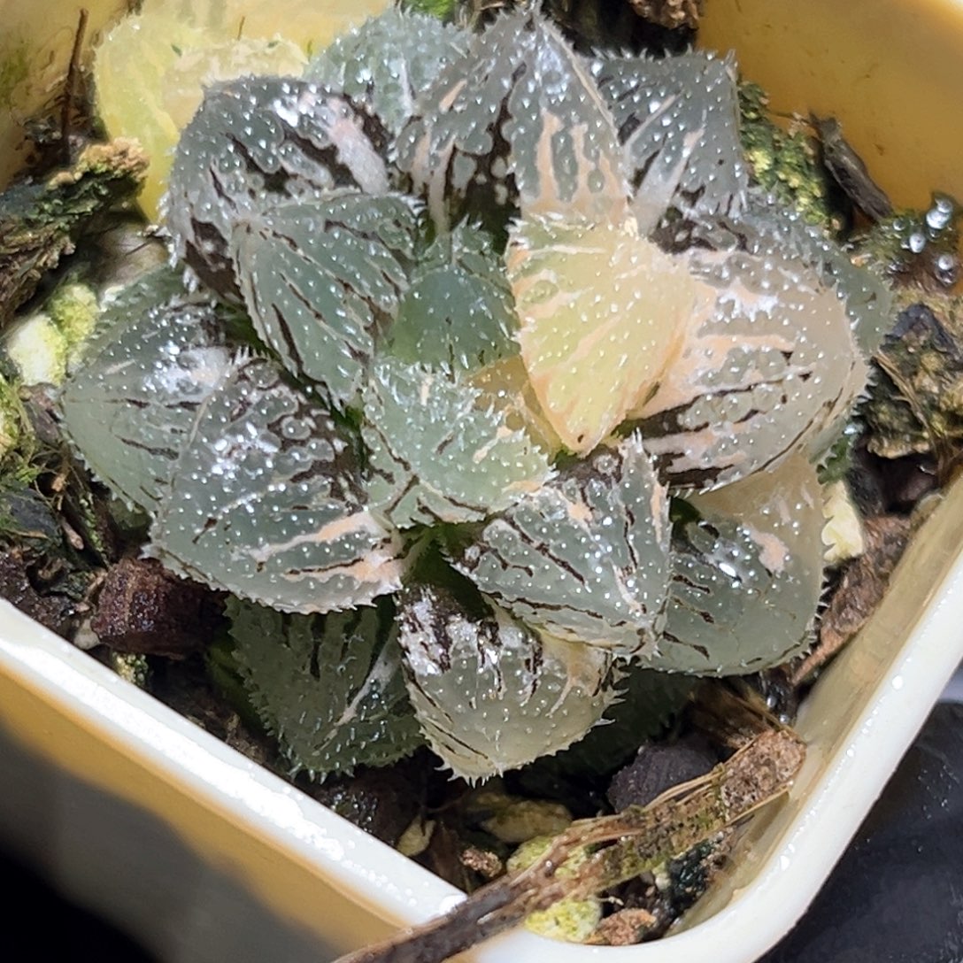 恭喜发财大吉大利4567