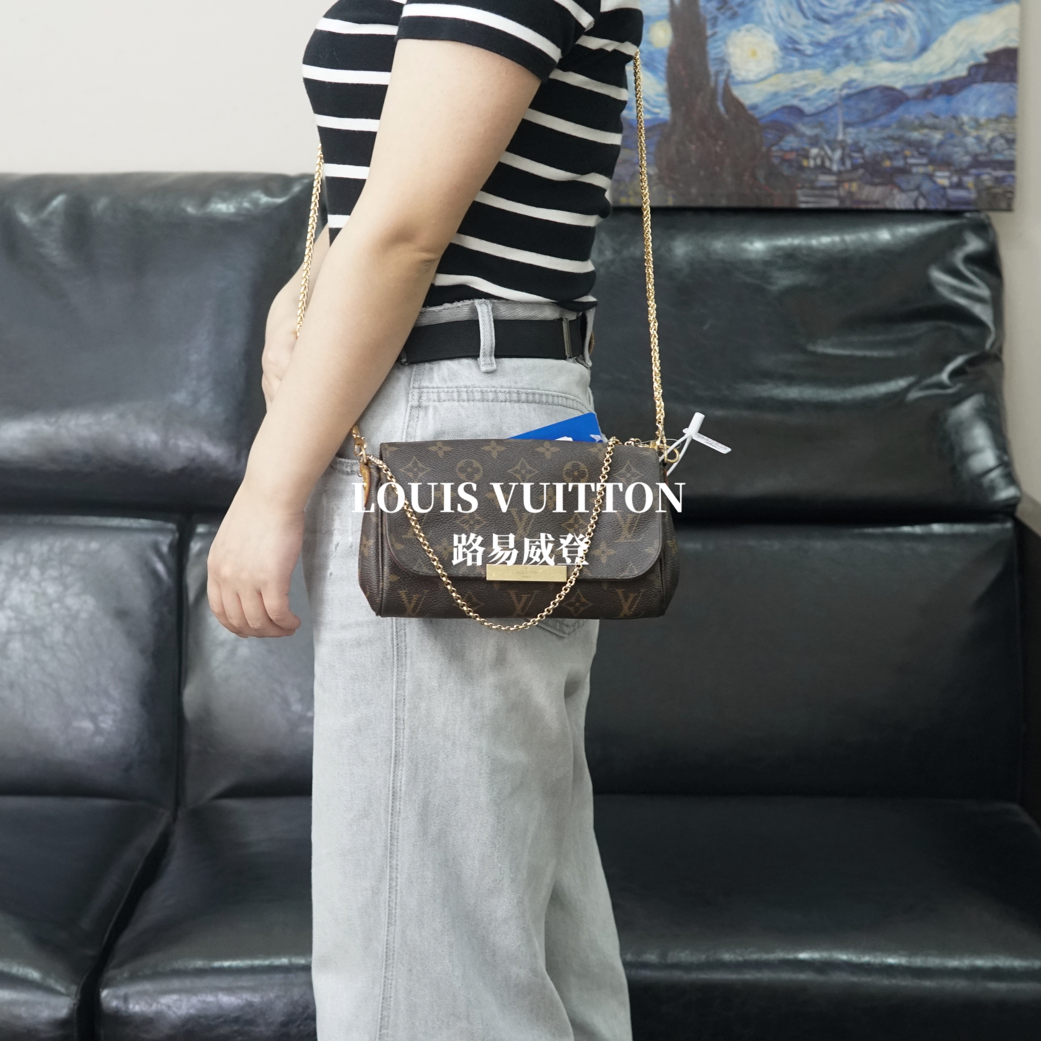 95新 LouisVuitton/路易威登 LV/老花斜挎包/WJ05129159/9159