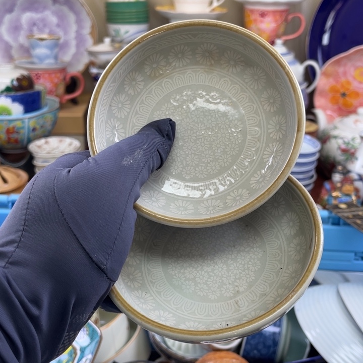 碟开播了开播了开播了