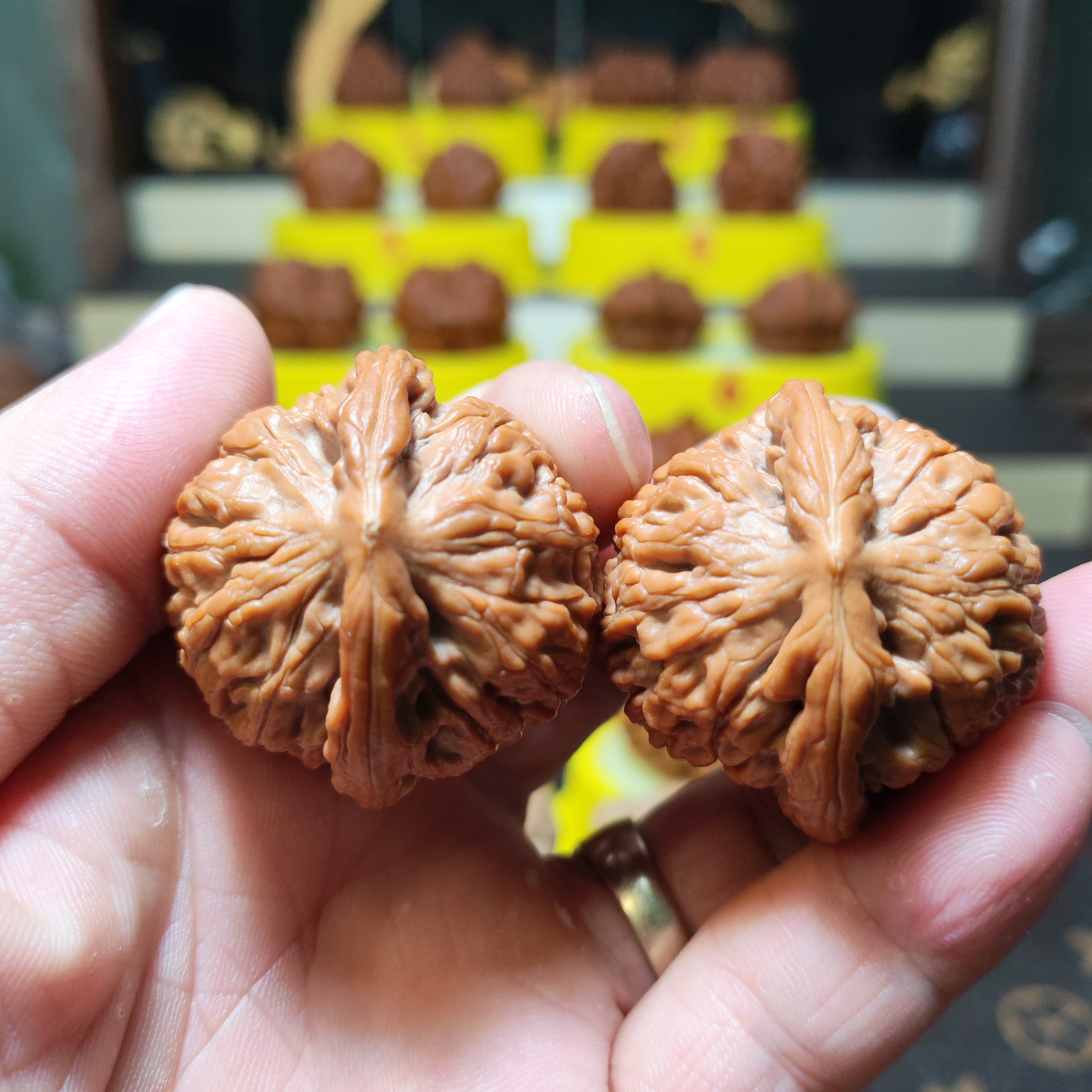 38尺全品球体莲花/专项白茬/大放漏粉丝抓住机会