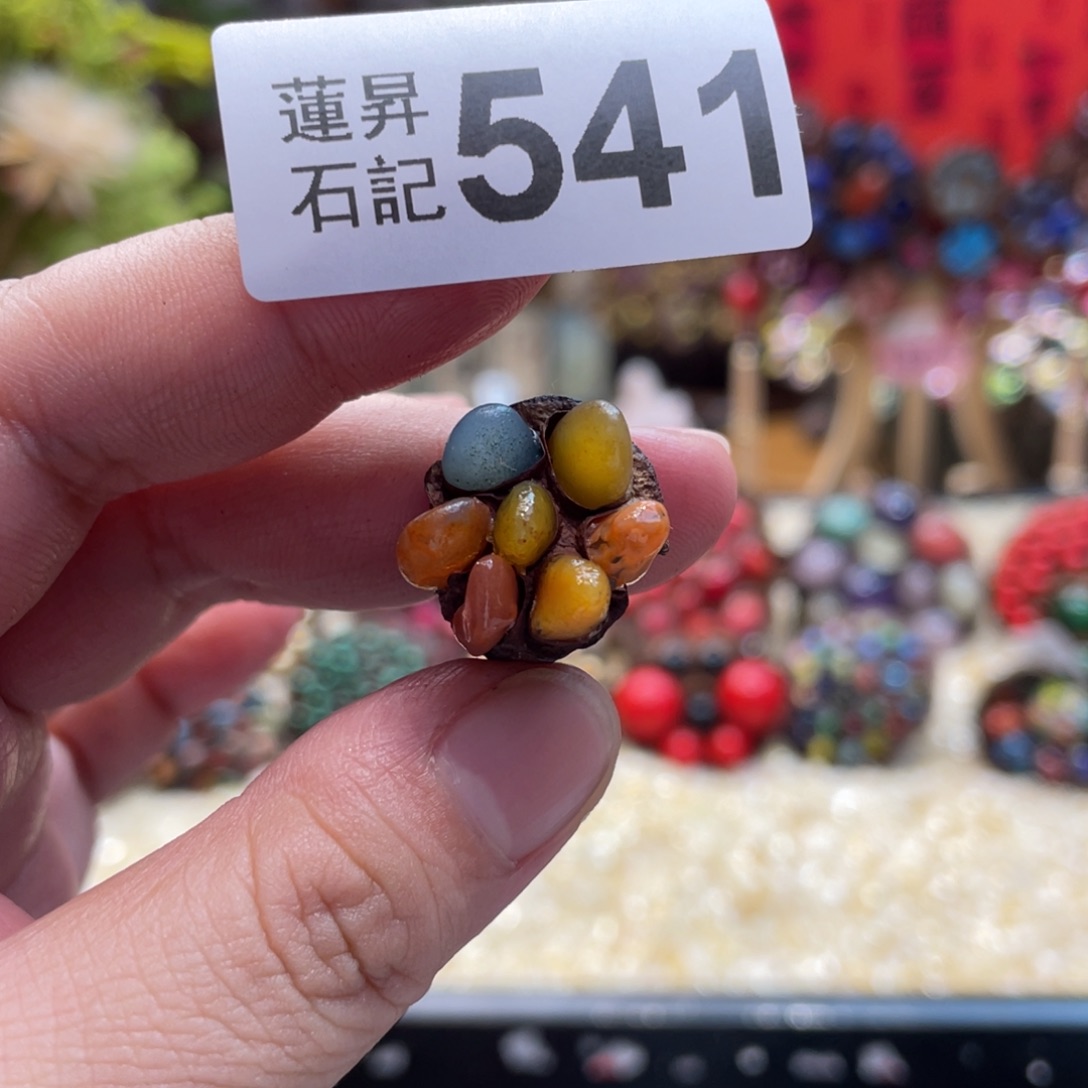 核桃木/黑胡桃（胡桃木）冰*梦541杆