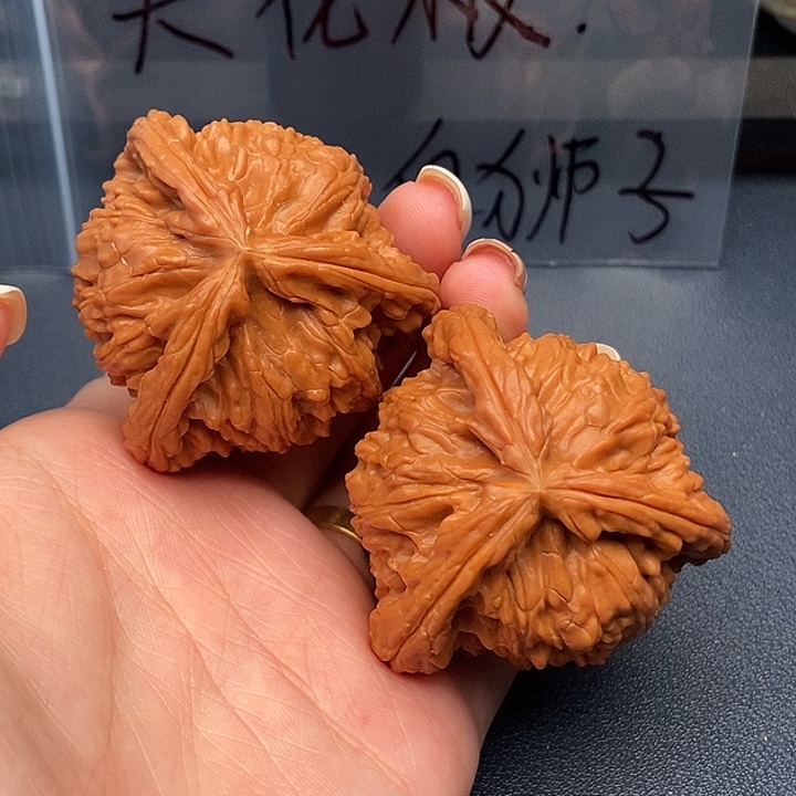 谢***进大叶紫檀（黑酸枝木类）白狮子