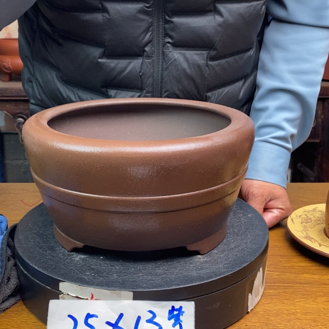 红陶货号一只DW03