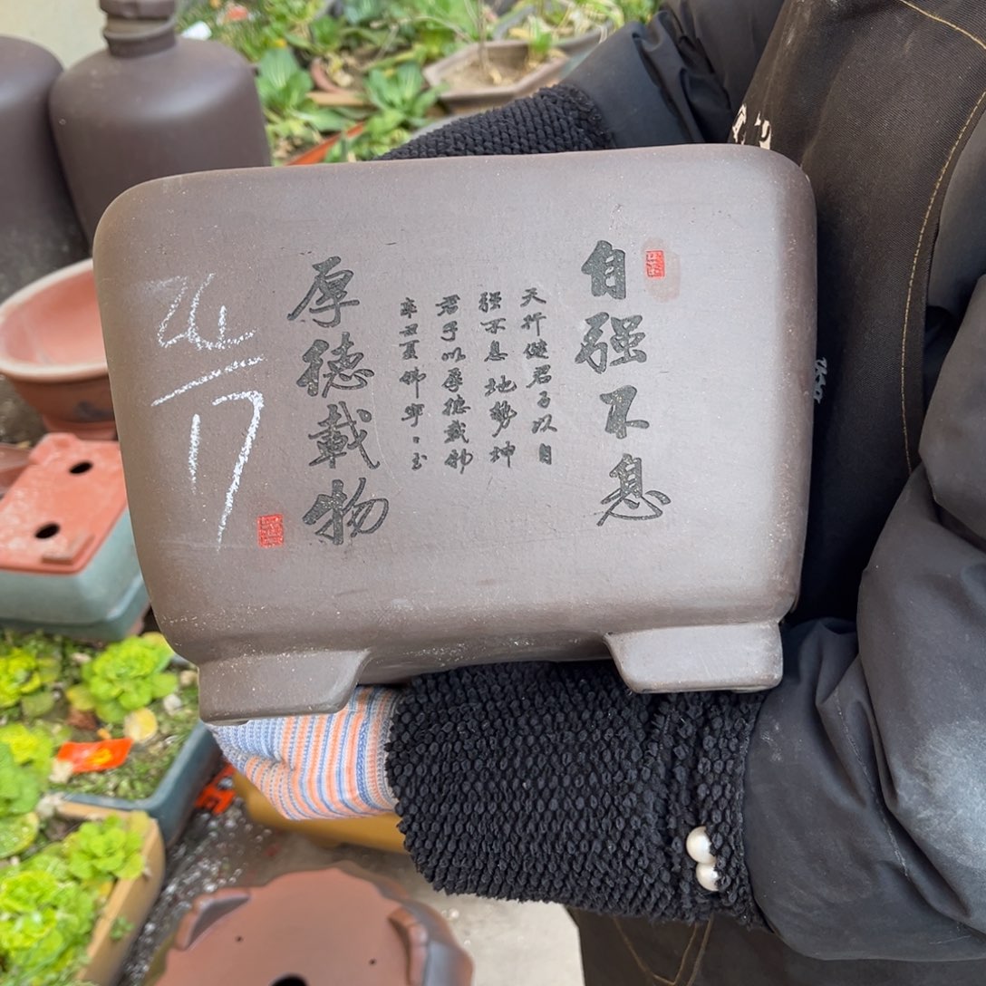 紫砂花盆盆景艺术