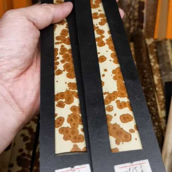 扇子大红花绿春扇料