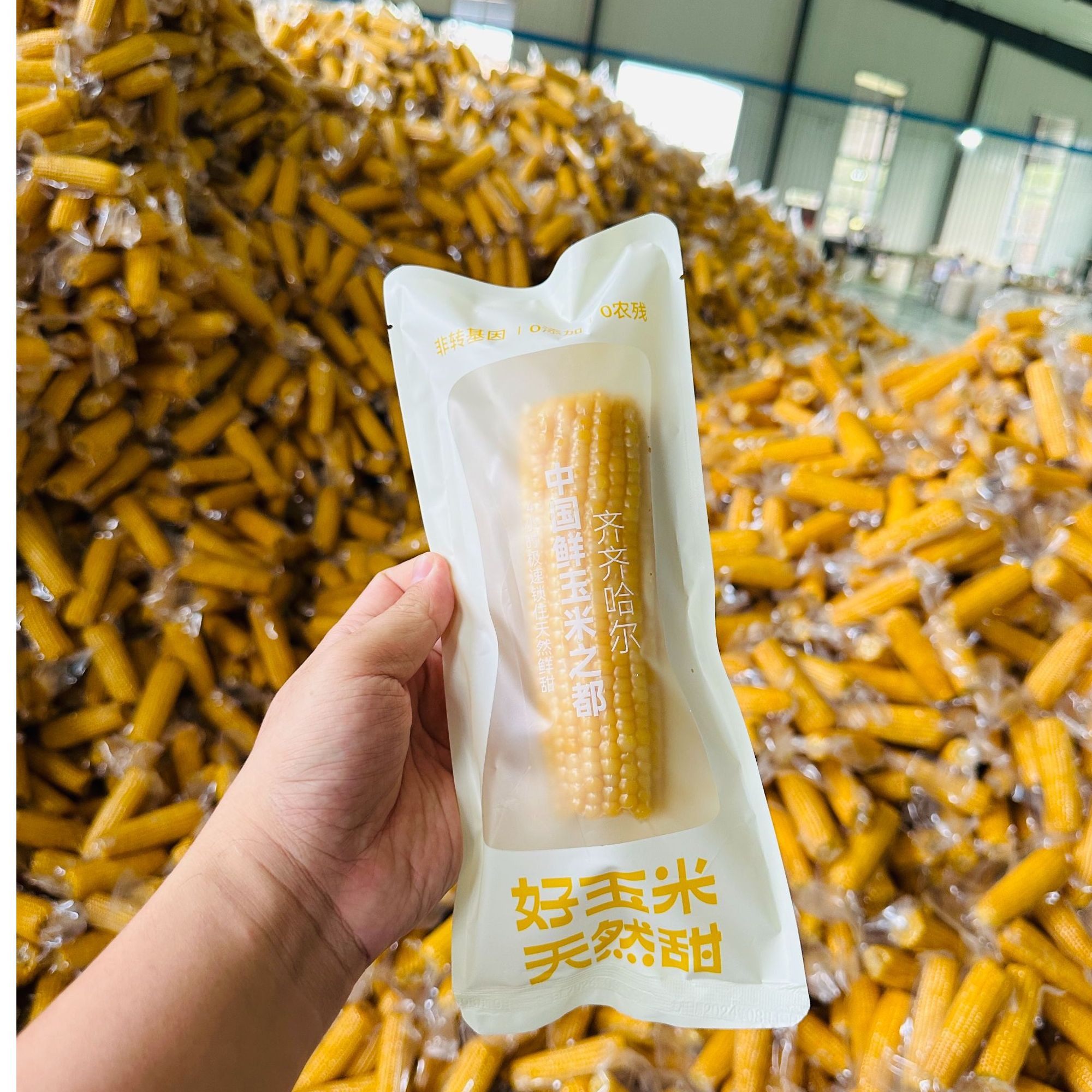 2025年头茬玉米标准个儿东北真空包装鲜食甜苞米香糯鲜糯甜