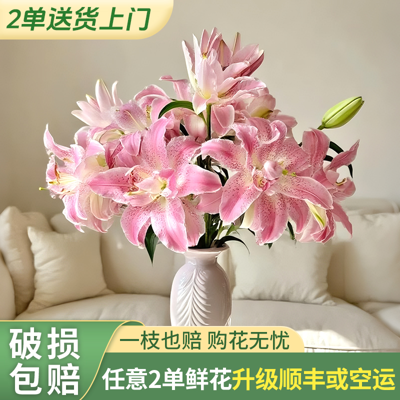 【两个老六】粉拉菲重瓣百合 任意2单升级快递 发货后不支持退款