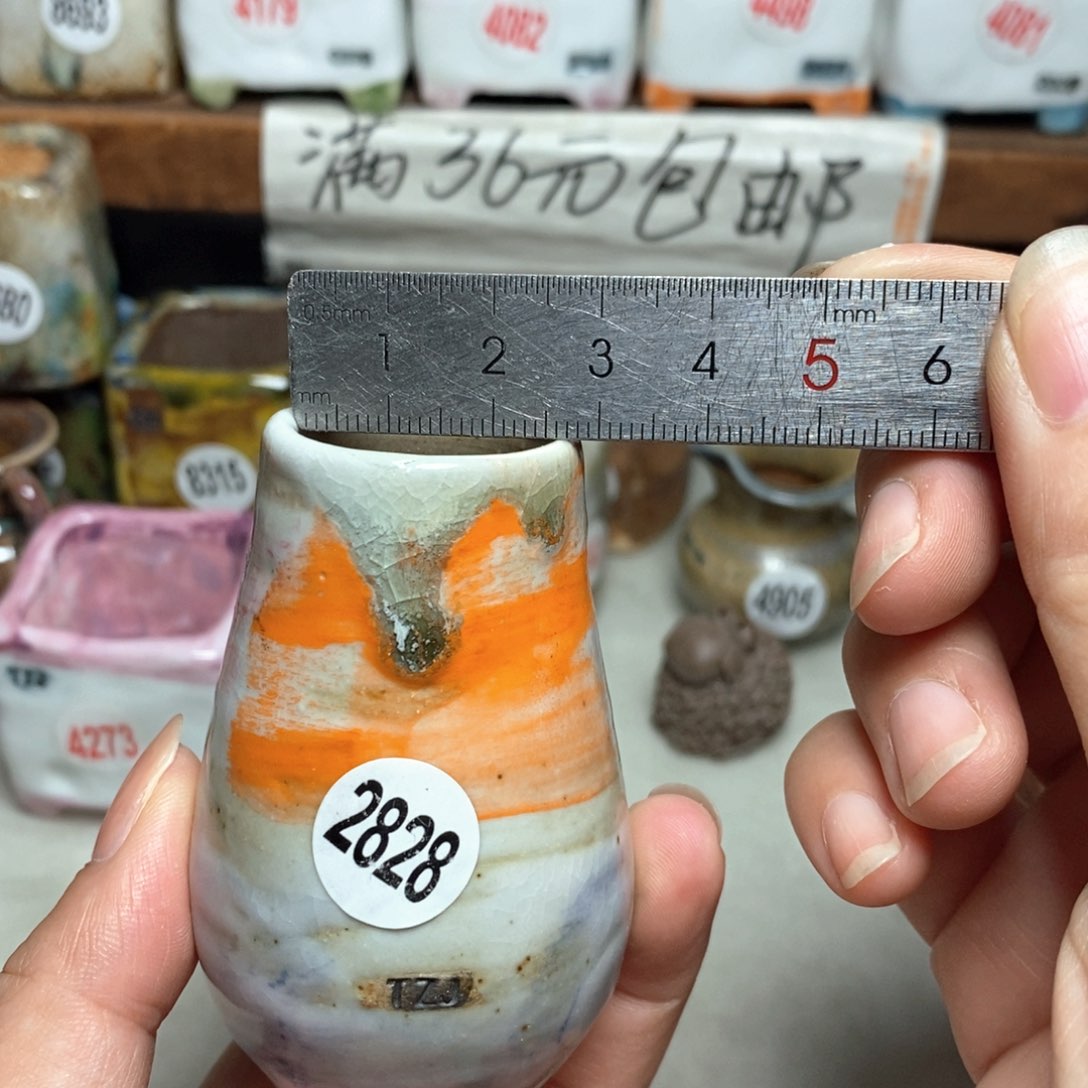 拍5送一个小礼物