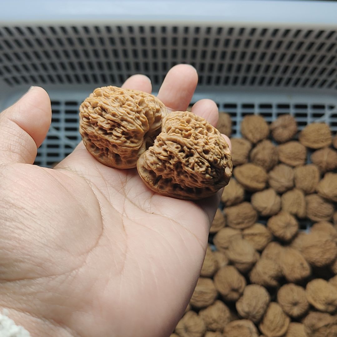 橄***尤南疆石狮子头一物一图