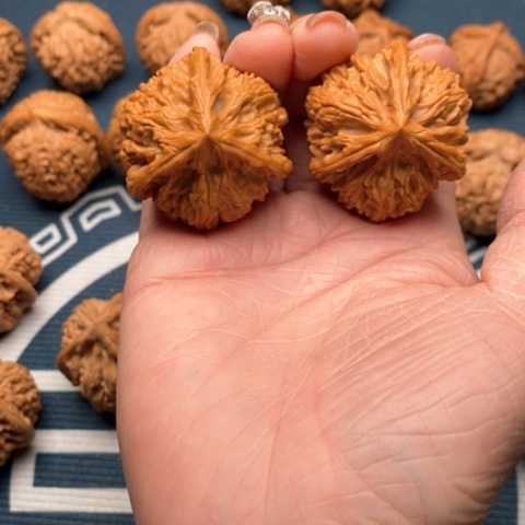 橄榄核手串/手链文山三棱38