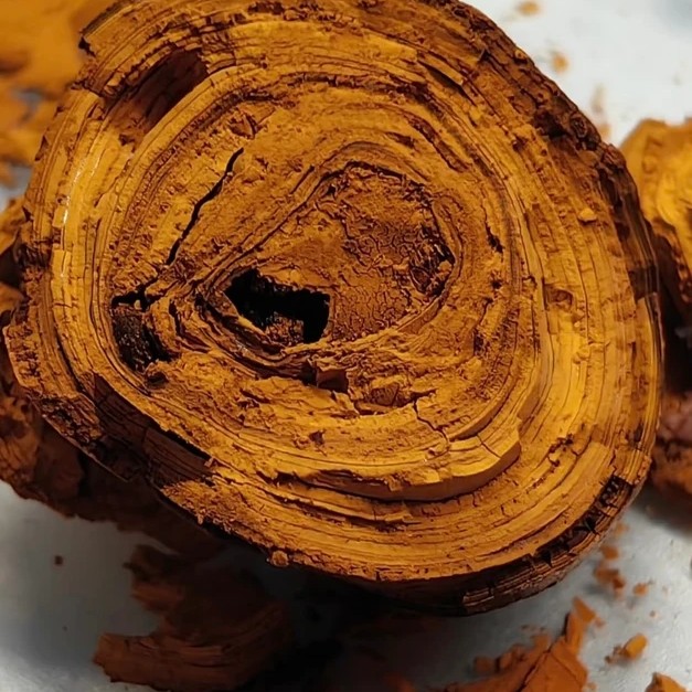 2-10g  Nh土特产菇