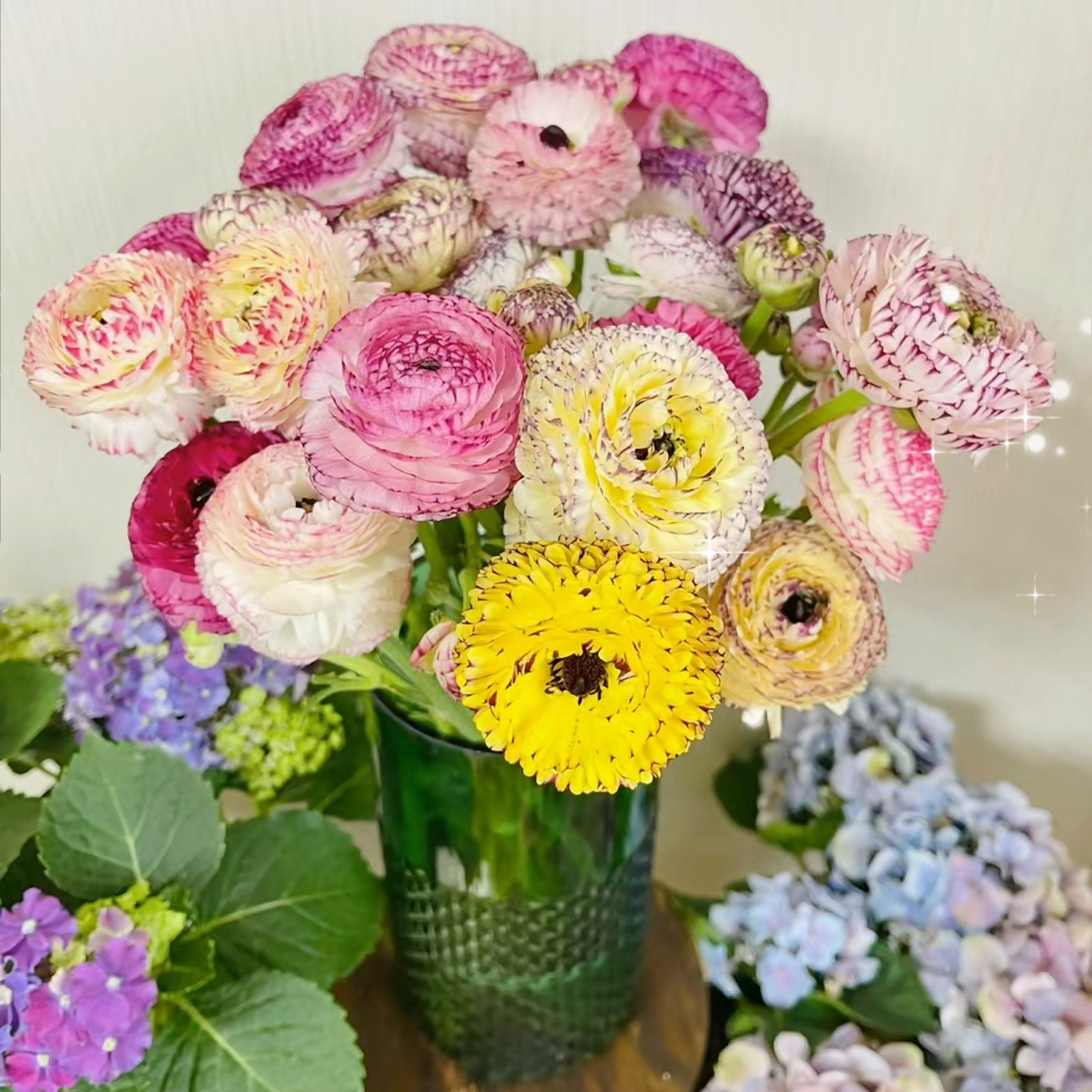 【杨鹏鲜花】七彩花边洋牡丹（养护找客服不保水生花苞发货）